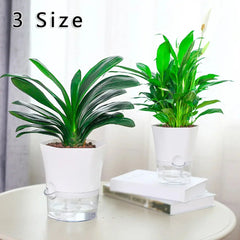 Transparent Self-Watering Plant Flower Pot Hexagonal Lazy Flowerpot Plastic Planters Home Garden Decoraction My Store