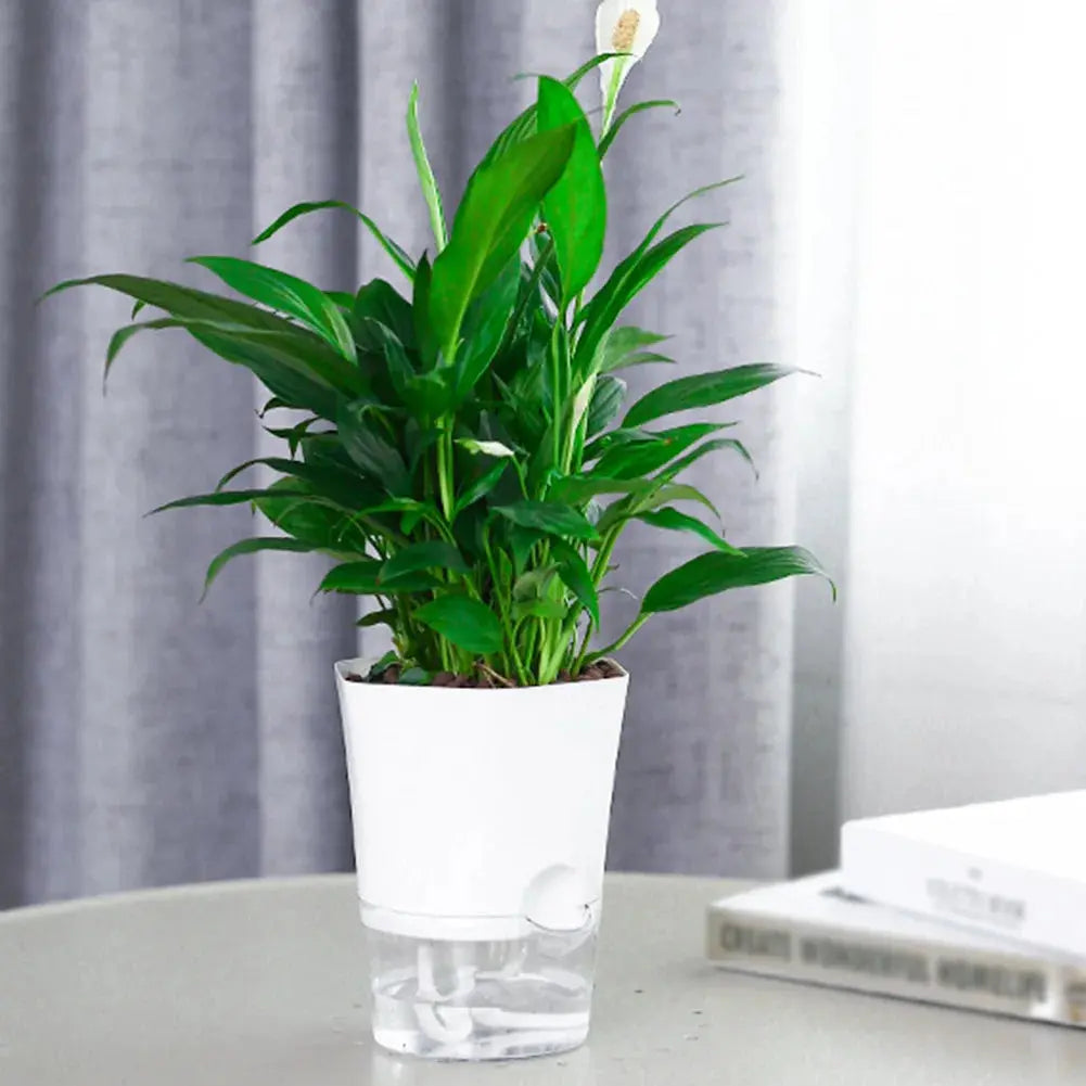 Transparent Self-Watering Plant Flower Pot Hexagonal Lazy Flowerpot Plastic Planters Home Garden Decoraction My Store