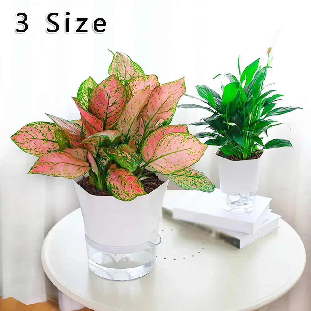 Transparent Self-Watering Plant Flower Pot Hexagonal Lazy Flowerpot Plastic Planters Home Garden Decoraction My Store